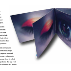 Take a look at my artist statement.